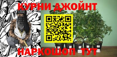 кокс Шебекино